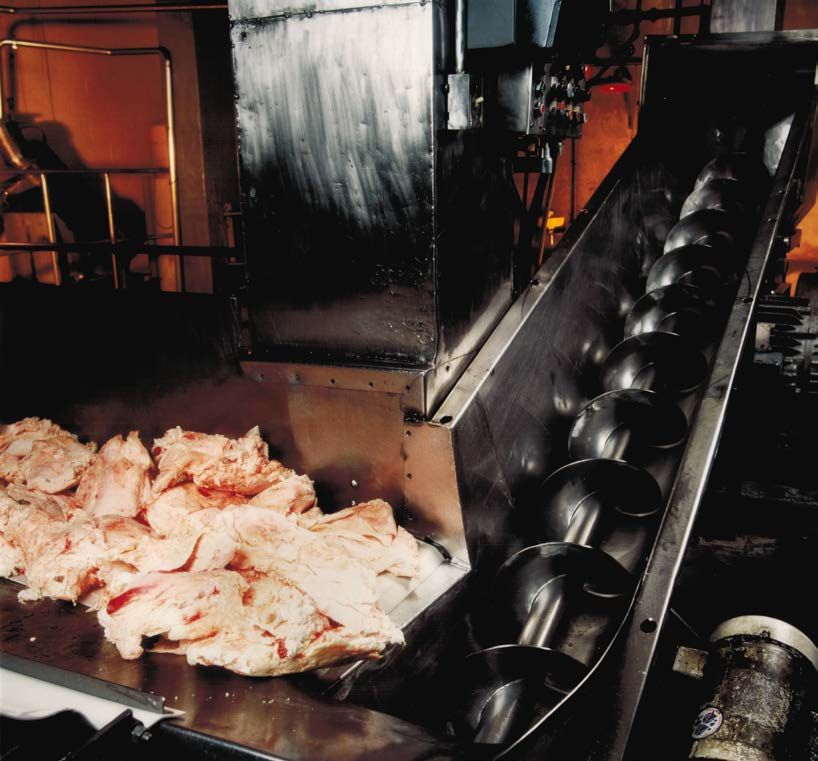 History edible rendering system